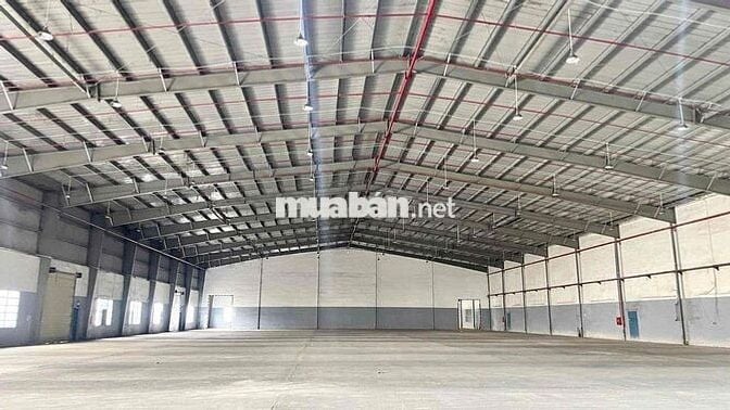 𝗫𝗨̛𝗢̛̉𝗡𝗚 𝗕𝗜̀𝗡𝗛  𝐓𝐀̂𝐍, 3500m2, pccc tự động