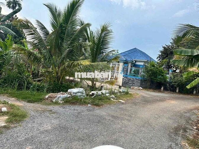 BÁN gấp ĐẤT TẶNG CĂN NHÀ CẤP 4 PHƯỜNG TRƯỜNG AN