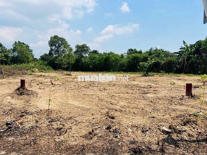 Bán đất thổ cư 2 mặt tiền đường nhựa ô tô vi vu Tp Đồng Nai chỉ 620tr