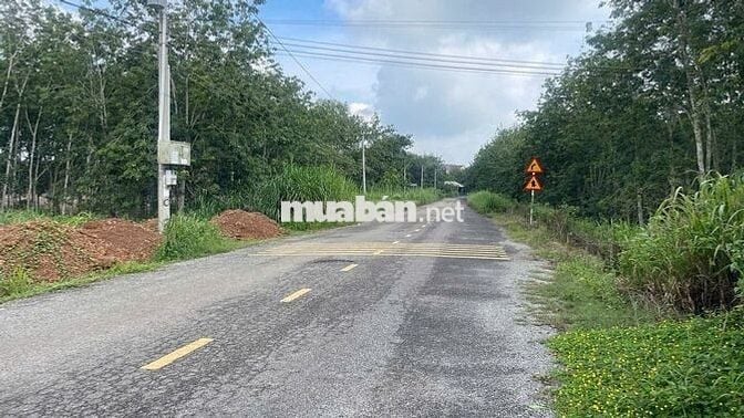 Chủ gửi lô đất mặt tiền đường DH