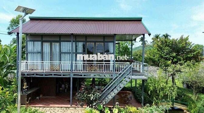 🏡 NHÀ VƯỜN ĐẸP LA NGÀ – GẦN HỒ TRỊ AN – 2 MẶT TIỀN – CHỈ 2,5TỶ