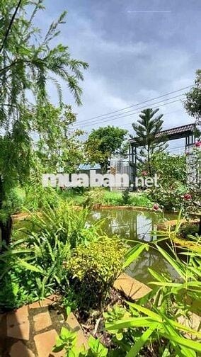 🏡 NHÀ VƯỜN ĐẸP LA NGÀ – GẦN HỒ TRỊ AN – 2 MẶT TIỀN – CHỈ 2,5TỶ