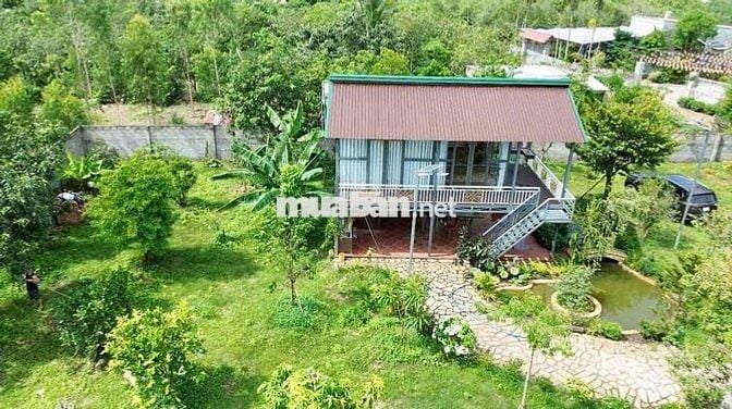 🏡 NHÀ VƯỜN ĐẸP LA NGÀ – GẦN HỒ TRỊ AN – 2 MẶT TIỀN – CHỈ 2,5TỶ