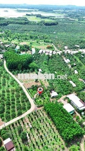 🏡 NHÀ VƯỜN ĐẸP LA NGÀ – GẦN HỒ TRỊ AN – 2 MẶT TIỀN – CHỈ 2,5TỶ