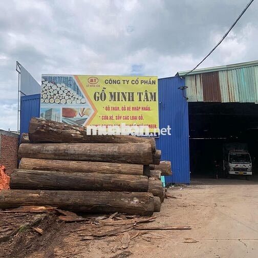 GỖ MINH TÂM TUYỂN 02 NAM THỦ KHO 