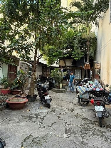 26 Tỷ = 122 triệu/m2! Bán Khuôn Đất HIẾM 213,9m2 ĐƯỜNG HOA Phú Nhuận