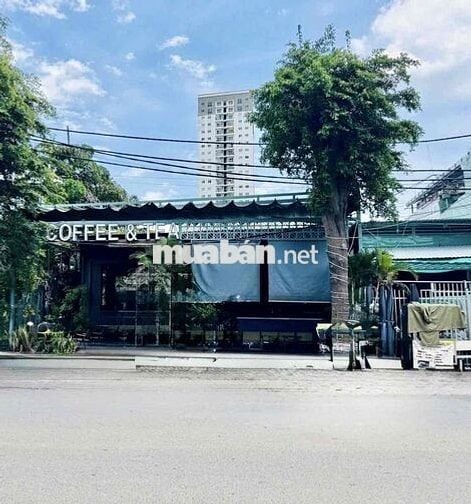 CHO THUÊ MẶT BẰNG VIP QUẬN 7- 11x18m- Giá 50 triệu