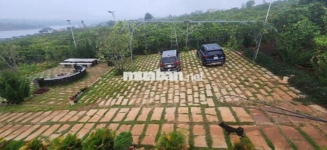 nhà biệt thự vườn 6.000m2 ven đà lạt