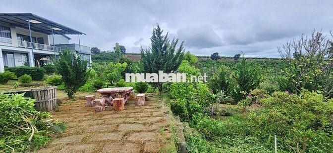 nhà biệt thự vườn 6.000m2 ven đà lạt