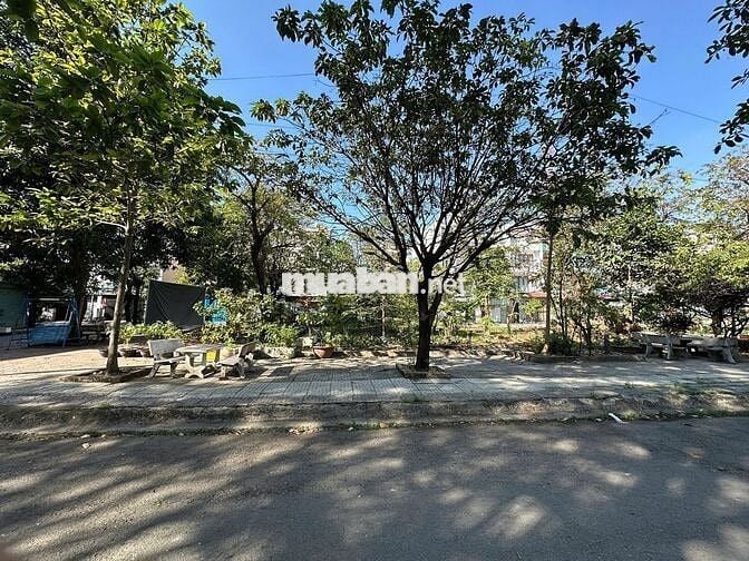 🏡 Bán Đất Mặt Tiền Đường Lớn 100m² Giá Tốt Sổ Riêng