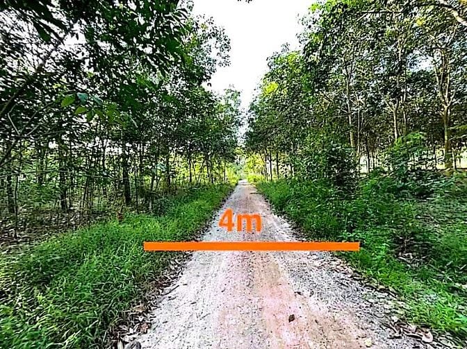 Công ty Đấu giá hợp danh Lam Sơn Sài Gòn thông báo đấu giá tài sản