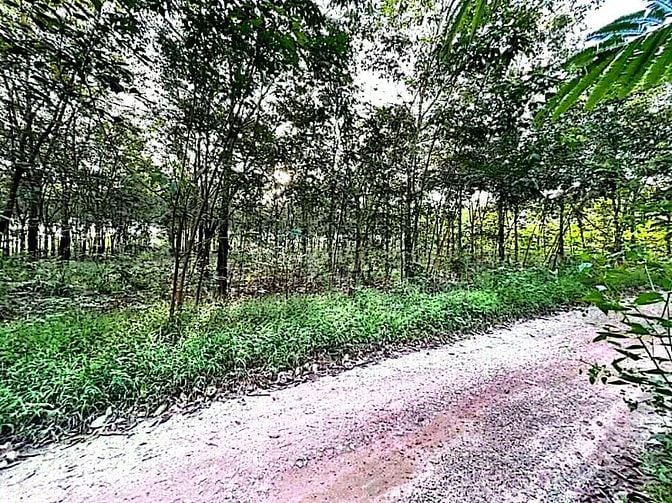 Công ty Đấu giá hợp danh Lam Sơn Sài Gòn thông báo đấu giá tài sản