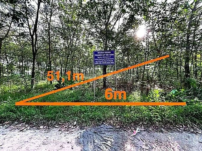 Công ty Đấu giá hợp danh Lam Sơn Sài Gòn thông báo đấu giá tài sản