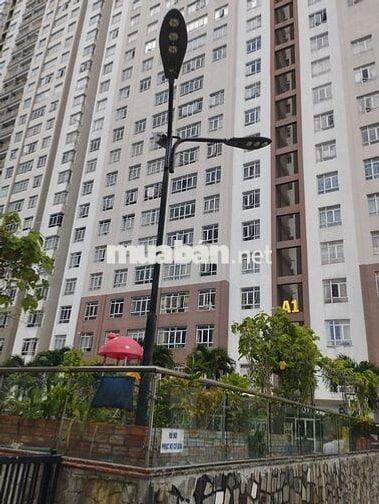 Y Dược HCM UMP Hồng Bàng Q5 phòng ghép chung cư Sinh viên Văn phòng