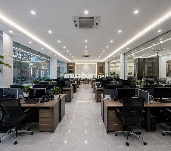 CHO THUÊ MẶT TIỀN 15M HIẾM CÓ TẠI TRUNG TÂM QUẬN 5 | 450M² SÀN