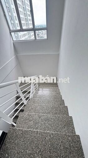 Cho thuê hộ Giai Việt – Duplex thông tầng - 854 Tạ Quang Bửu 
