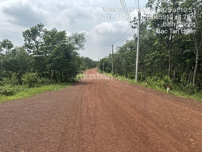 Công ty Đấu giá hợp danh Lam Sơn Sài Gòn thông báo đấu giá tài sản