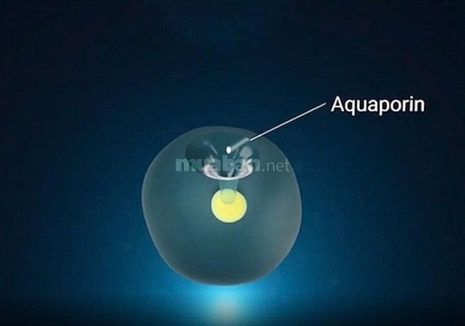 BÁN LỖ Máy Kangen chính hàng Nhật, mới 100%, chất liệu titanium