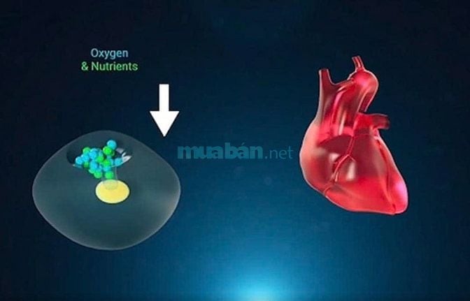 BÁN LỖ Máy Kangen chính hàng Nhật, mới 100%, chất liệu titanium