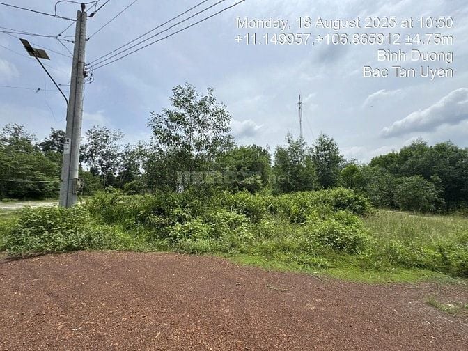 Công ty Đấu giá hợp danh Lam Sơn Sài Gòn thông báo đấu giá tài sản