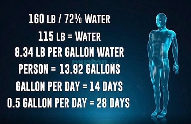 BÁN LỖ Máy Kangen chính hàng Nhật, mới 100%, chất liệu titanium
