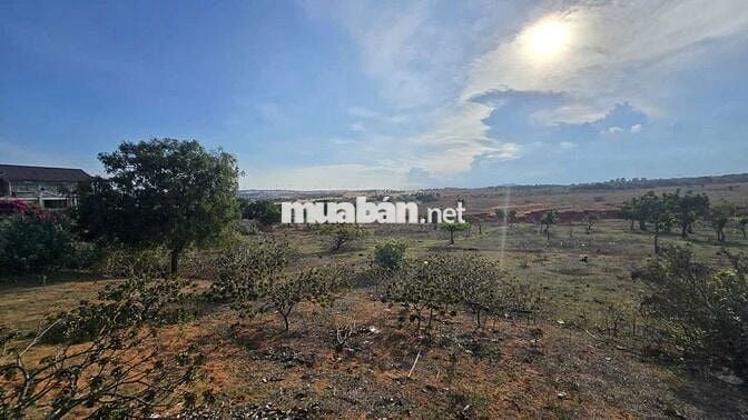 BÁN 11.489M2 ĐẤT QH TMDV - 97M MT ĐƯỜNG NHỰA 