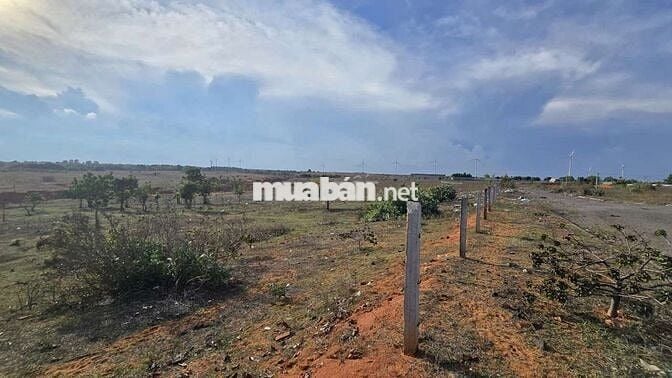 BÁN 11.489M2 ĐẤT QH TMDV - 97M MT ĐƯỜNG NHỰA 