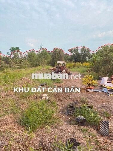 Bán đất P.Tây Nam Tp HCM giáp rạch, gần sông SG, tiện ra TL744 .
