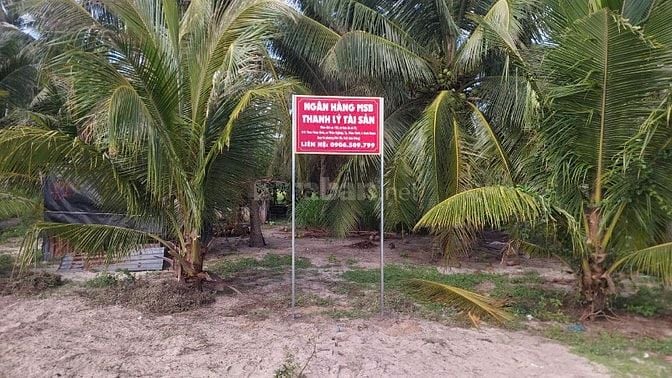 Công ty đấu giá hợp danh Sao Việt 