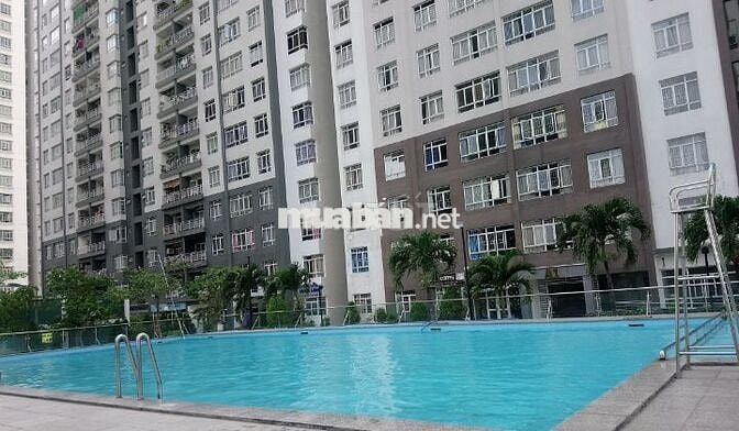Chung cư Tạ Quang Bửu đại học Công nghệ Sài Gòn Sinh viên Văn phòng Q8