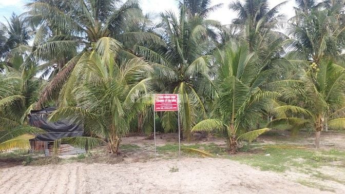 Công ty đấu giá hợp danh Sao Việt 