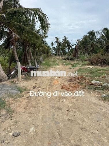 ĐẤT VEN BIỂN NINH CHỬ (CÁCH BÃI BIỂN 5P)