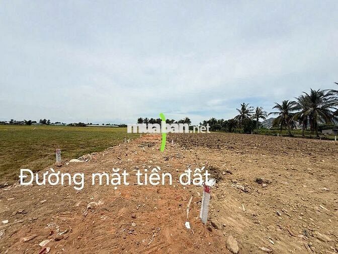 ĐẤT VEN BIỂN NINH CHỬ (CÁCH BÃI BIỂN 5P)