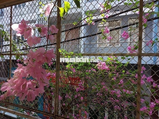 [4mx16m]HXH Lý Văn Phức Q1 -3 Tầng,4 PN- Khu Tân Định Sầm Uất❌Cho Thuê