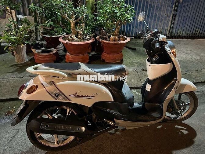 Yamaha Classico Trắng 518919 km