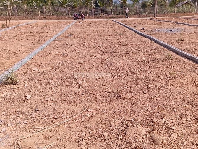 Bán Đất 114m² thổ cư 114m² giá 300 triệu tại Đường Quốc Lộ 217B Xã Thà