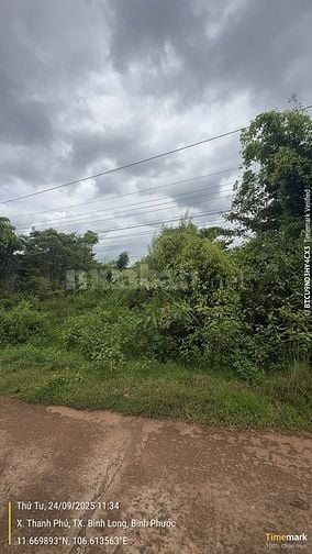 CTY ĐẤU GIÁ HỢP DANH TRỰC TUYẾN VIỆT NAM (VNOA) TỔ CHỨC ĐẤU GIÁ