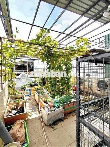 Cho thuê nhà nguyên căn Hẻm 1153 Huỳnh Tấn Phát quận 7