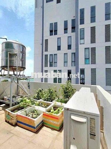 Cho thuê nhà nguyên căn Hẻm 1153 Huỳnh Tấn Phát quận 7