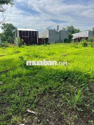 Lô thổ cư TP ĐỒNG NAI giá ngộp gần chợ , ngân hàng 