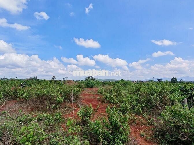 Bán Đất nông nghiệp Đường tránh Hội Phú 772,7m2
