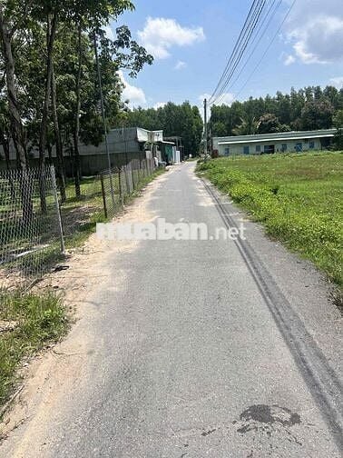 đất cách sân bay long thành 5 phút