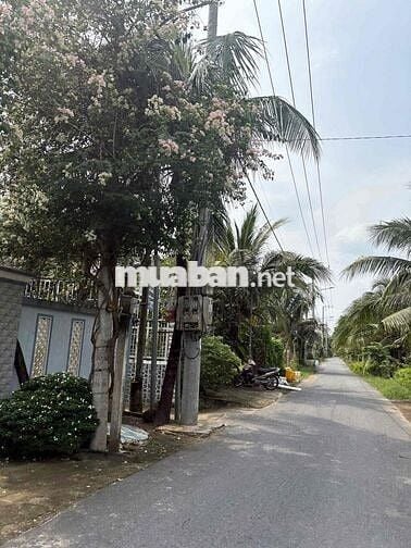 bán đất tặng nhà cấp 4 khu vực Trung an yên tĩnh