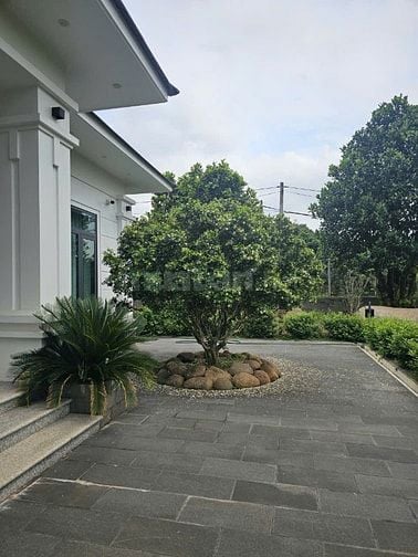 Cho thuê villa hoàn thành 2025, nhà mái Nhật nội thất Đông Dương