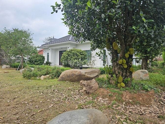 Cho thuê villa hoàn thành 2025, nhà mái Nhật nội thất Đông Dương