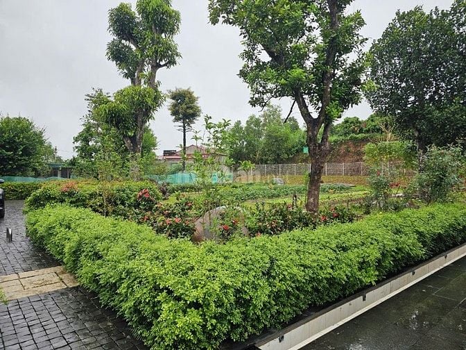 Cho thuê villa hoàn thành 2025, nhà mái Nhật nội thất Đông Dương