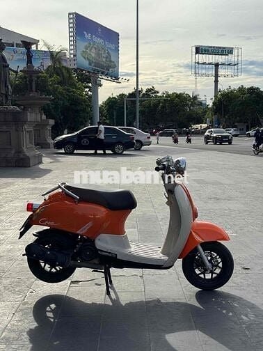 Honda Cree Thể thao Cam, trắng