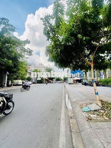 CHO THUÊ NHÀ MĂT TIỀN ĐƯỜNG TÂN SƠN NHÌ 4,2X27M 2L KD TỰ DO