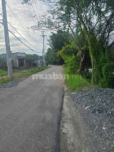 GIÁ NGỘP MT Huỳnh Thị Dần, Bình Mỹ, Củ Chi 2.2 tỷ/136.2m2 full thổ