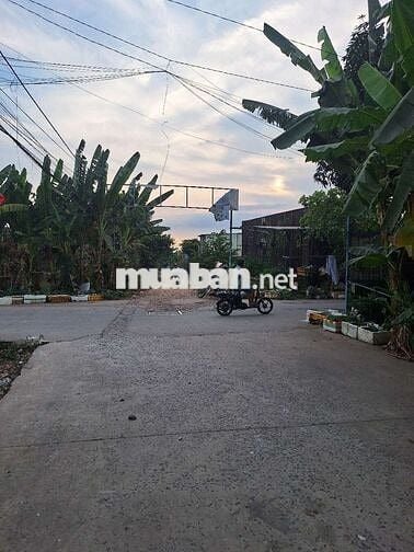 Bán đất Ấp 1, Vĩnh Lộc A, TpHCM
